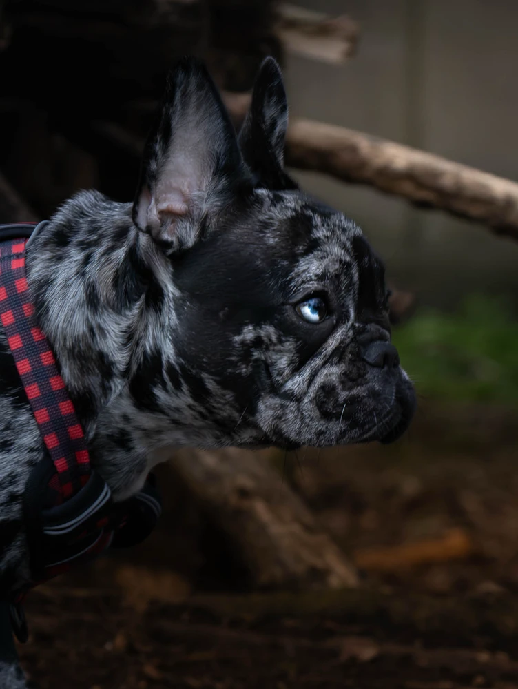 Des passionné de photo ici ?