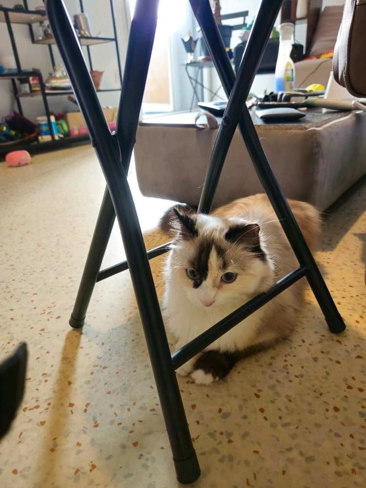 Coucou tous le monde enchanté et surtout passer un bon dimanche