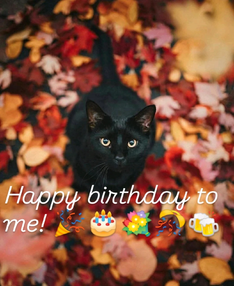 GIF качен от Ashalanore