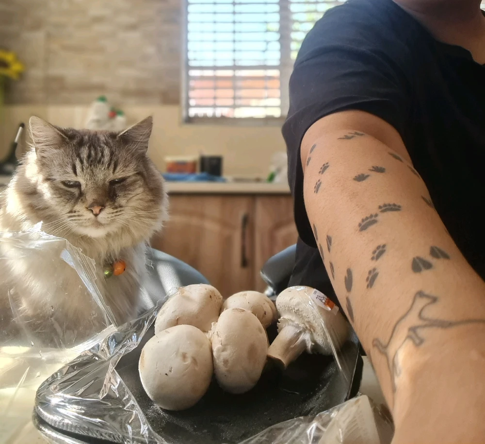 GIF diunggah dening Jessica