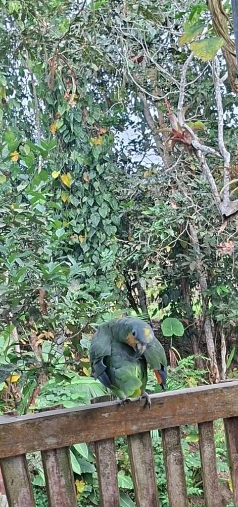 🚜👨🏻🌾❤️🐒