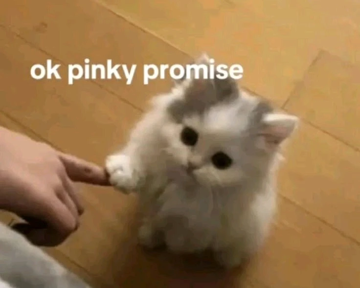🌷POV: Pinky promises hit different when it’s your best friend 😌