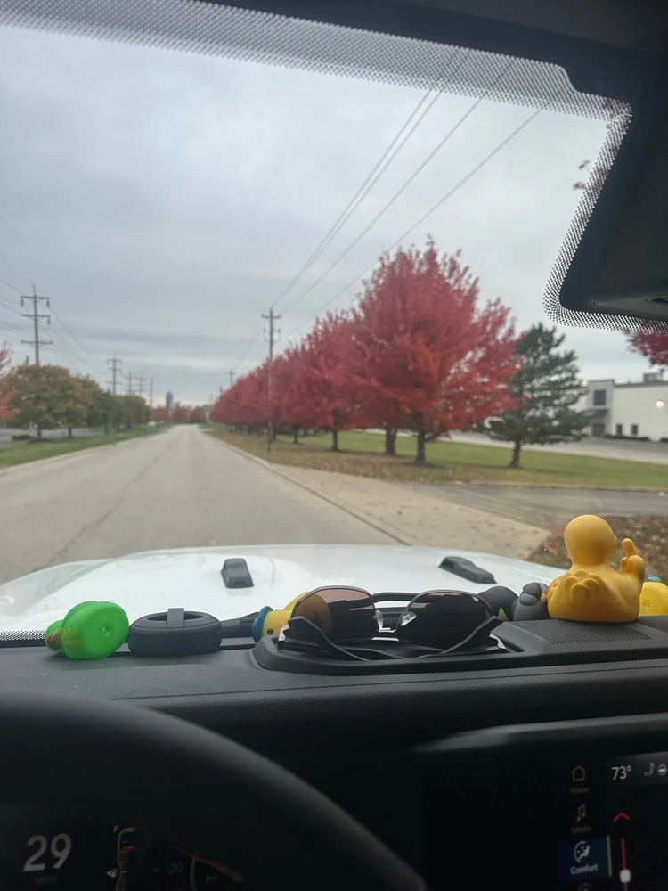 Image uploaded by Vincent