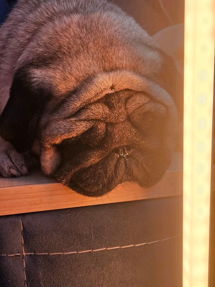 Зображення завантажив Andrii