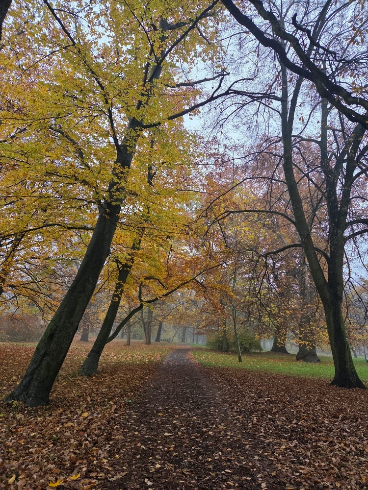 Obrázek nahrál Peťule