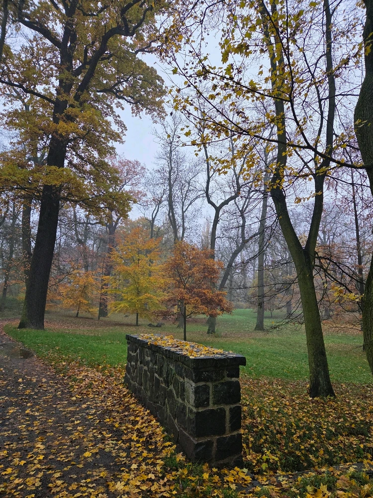 Obrázek nahrál Peťule