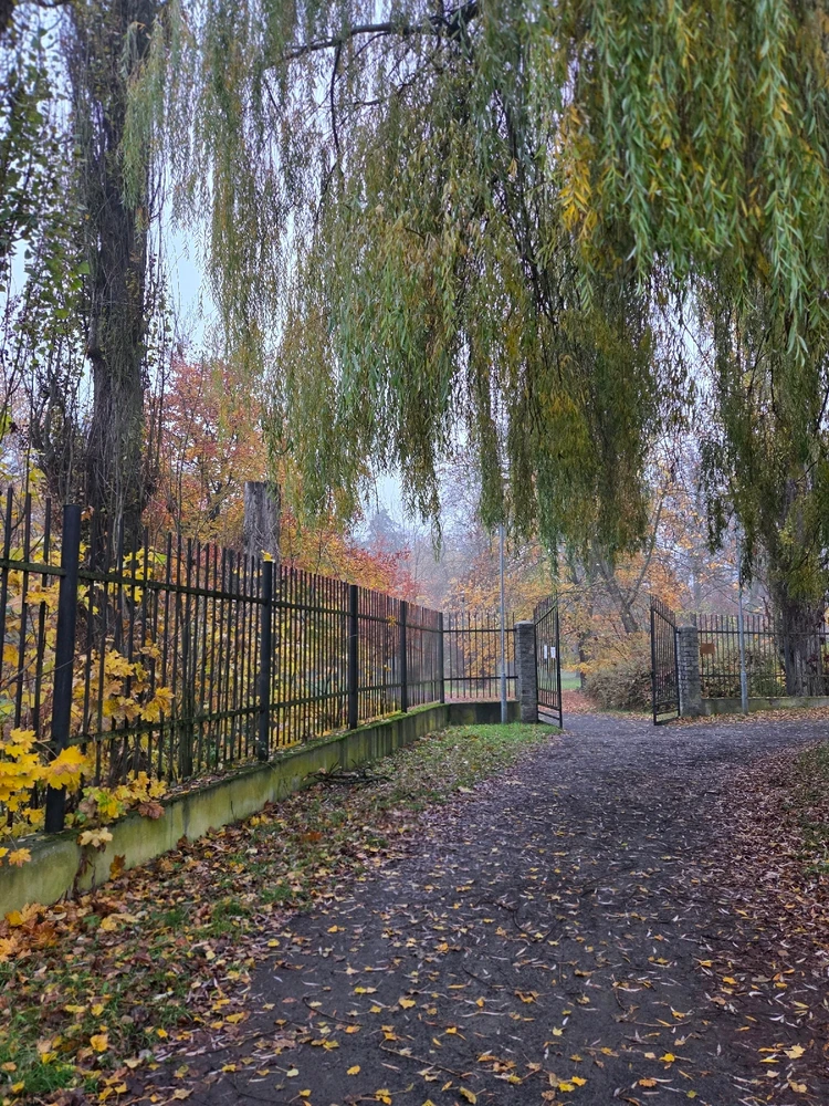 Obrázek nahrál Peťule