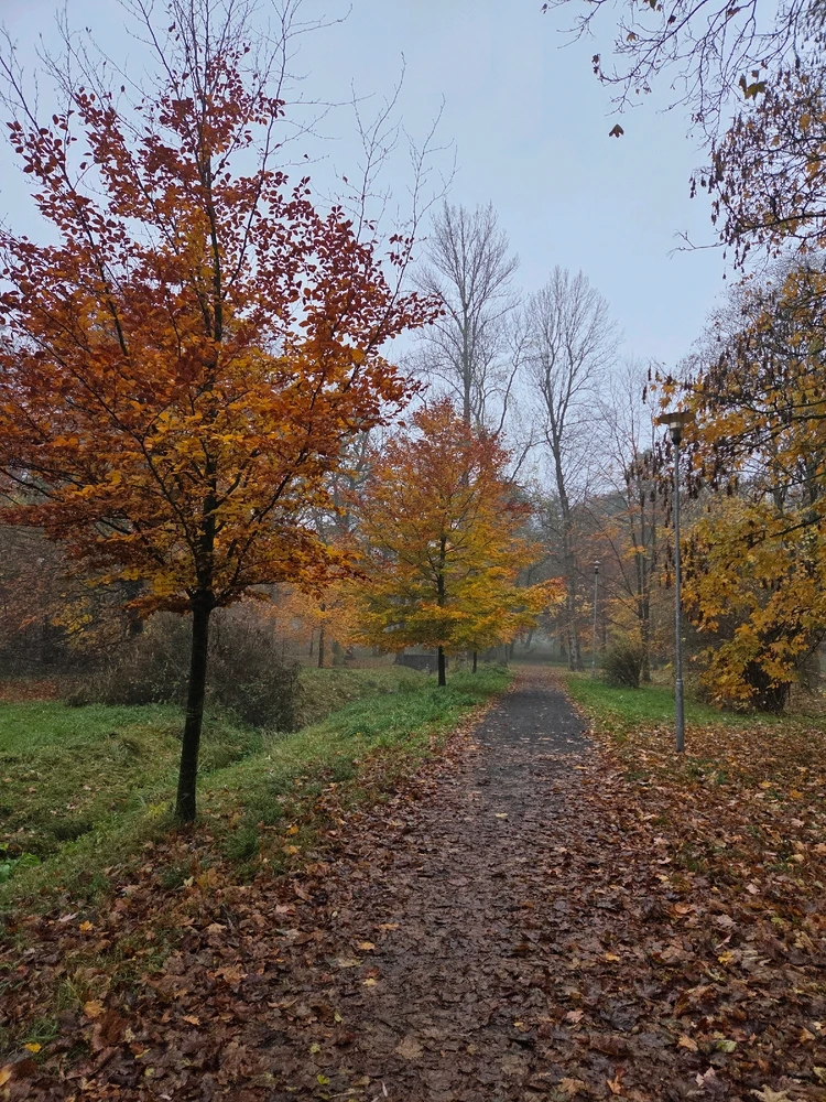 Obrázek nahrál Peťule