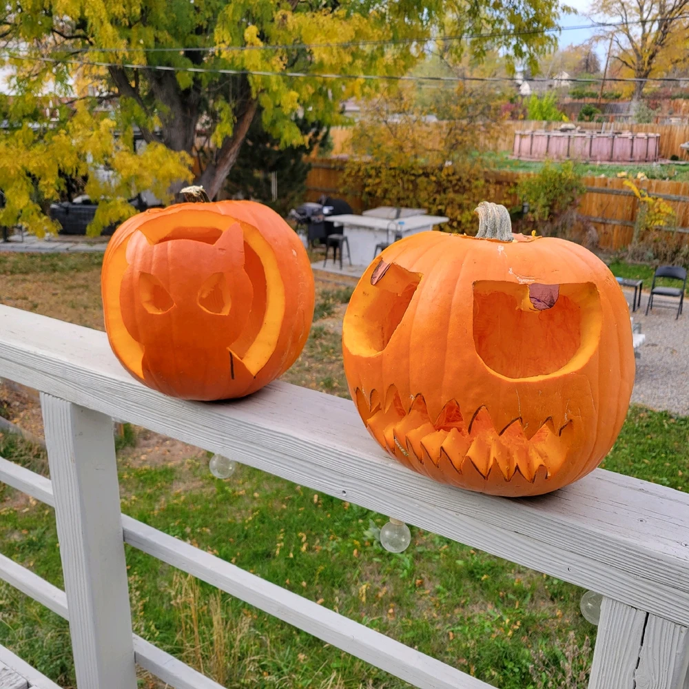 Image uploaded by Chani