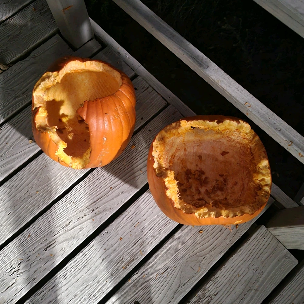 Image uploaded by Chani