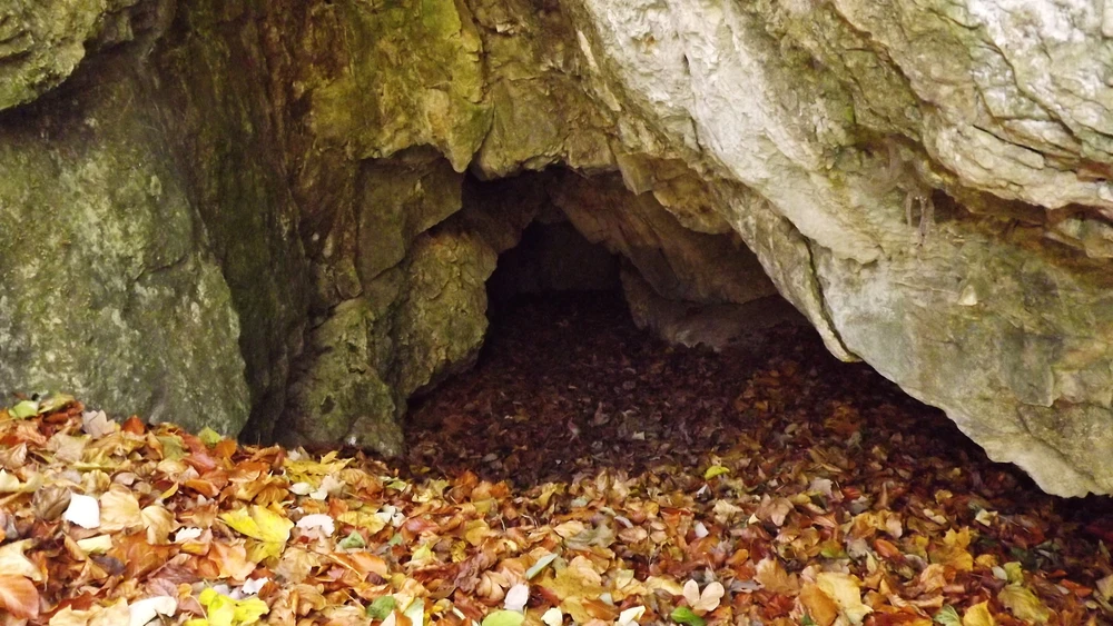 László által feltöltött kép