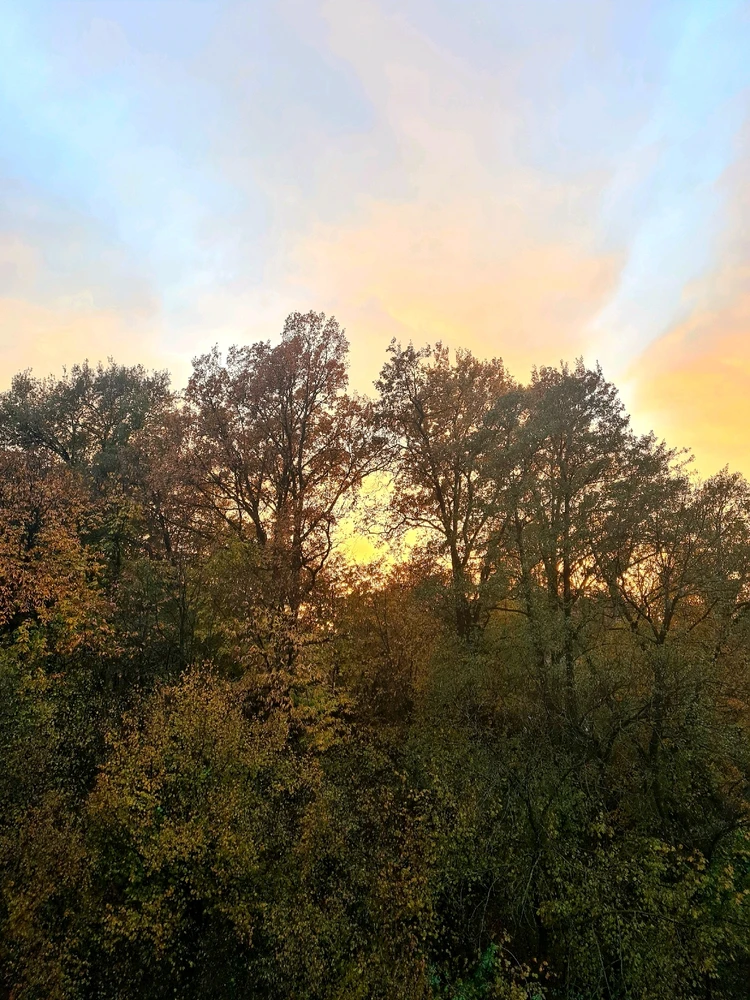 GIF caricata da Gabrio aka Milord