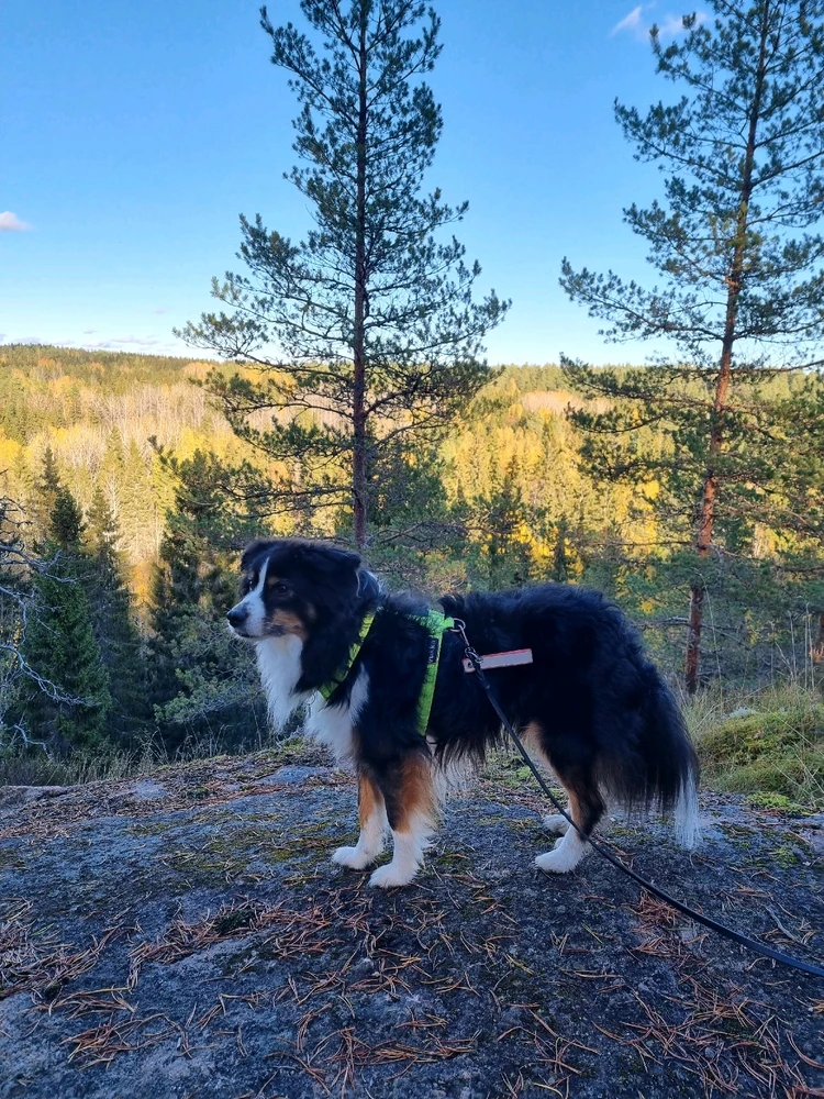 GIF uploaded by Aurora