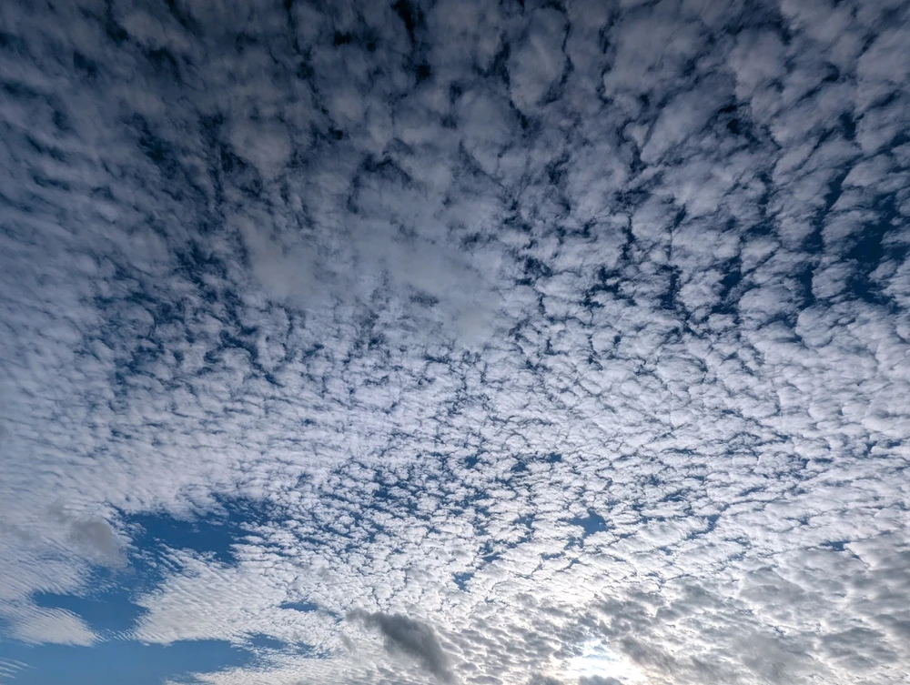 GIF uploaded by Graeme