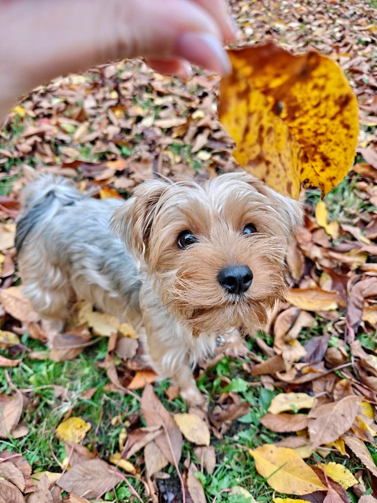 Obrázek nahrál Radka