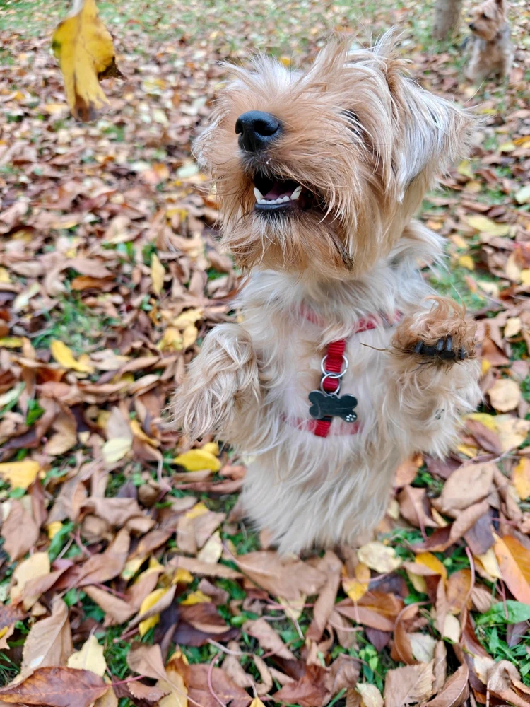 Obrázek nahrál Radka