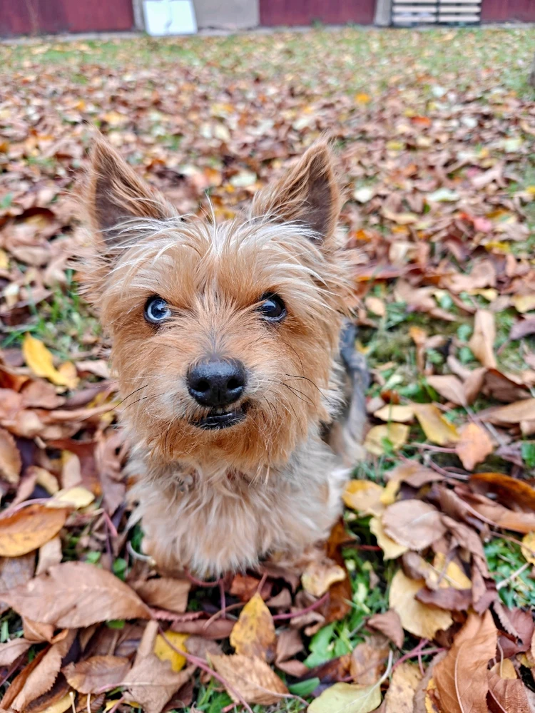 Obrázek nahrál Radka