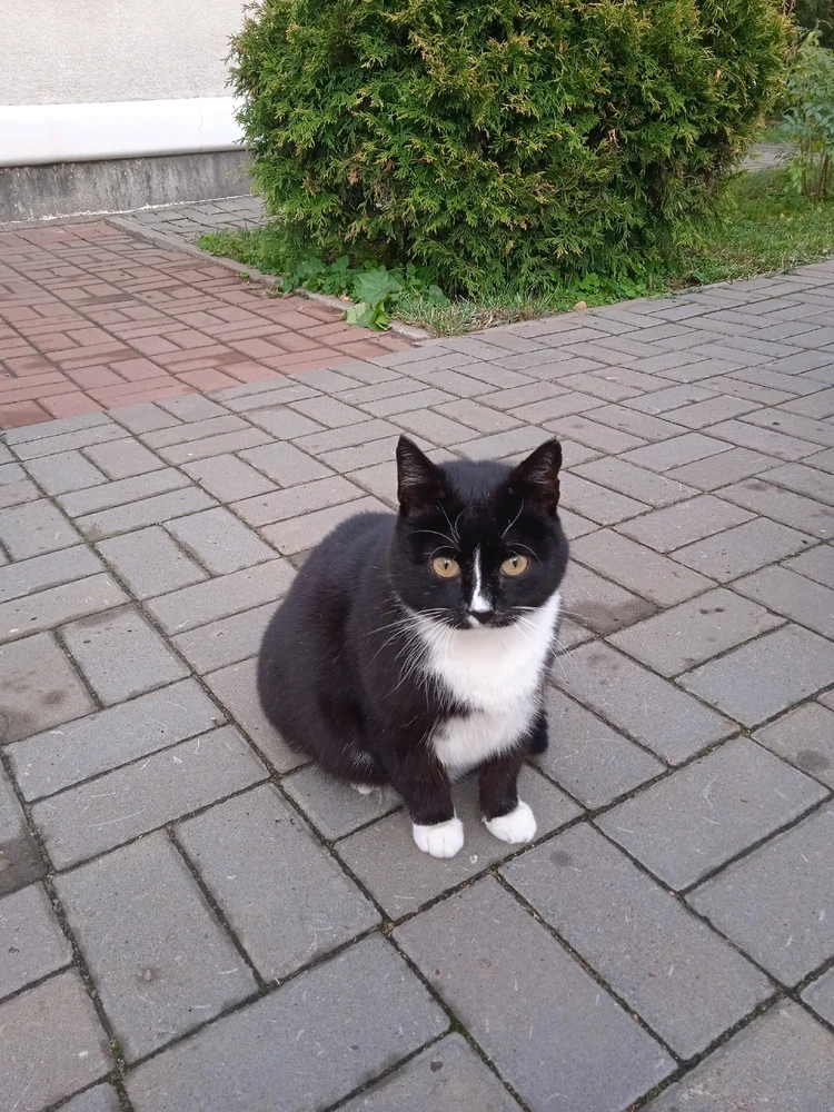 Image uploaded by Lumi