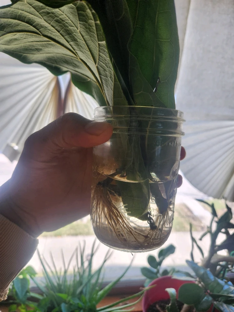 GIF uploaded by Garrett