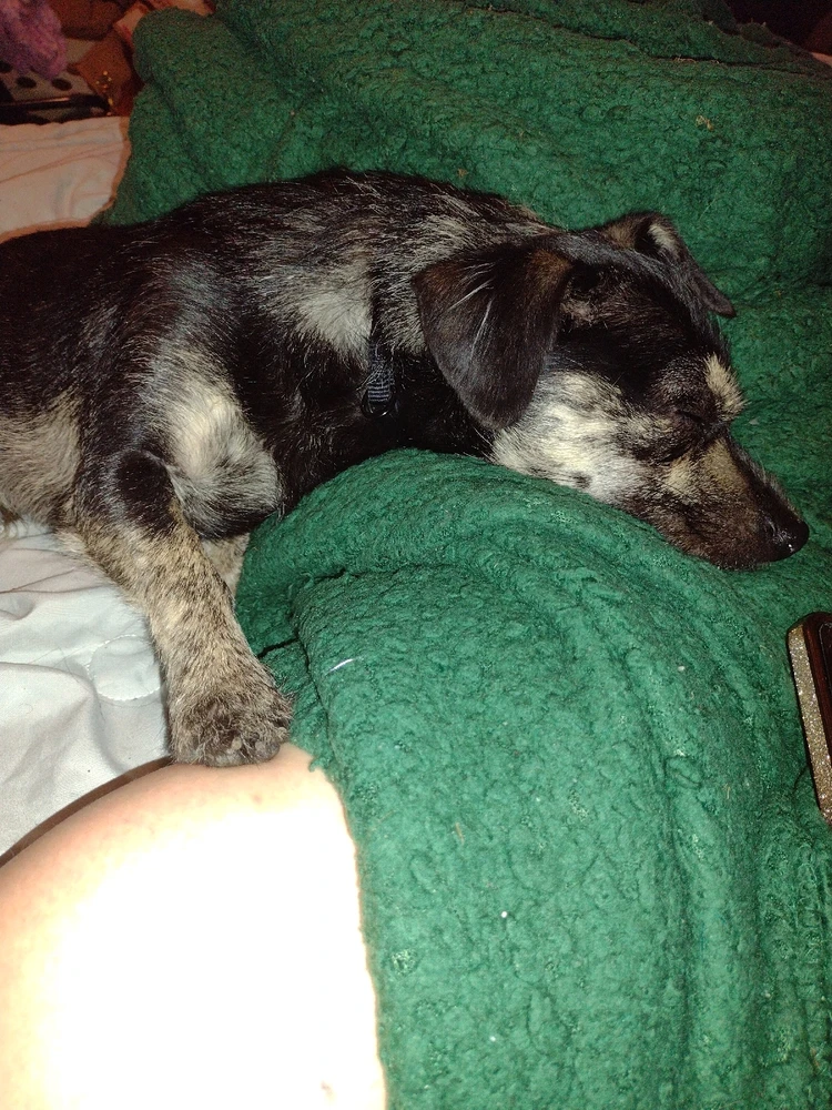 Image uploaded by Heathyr