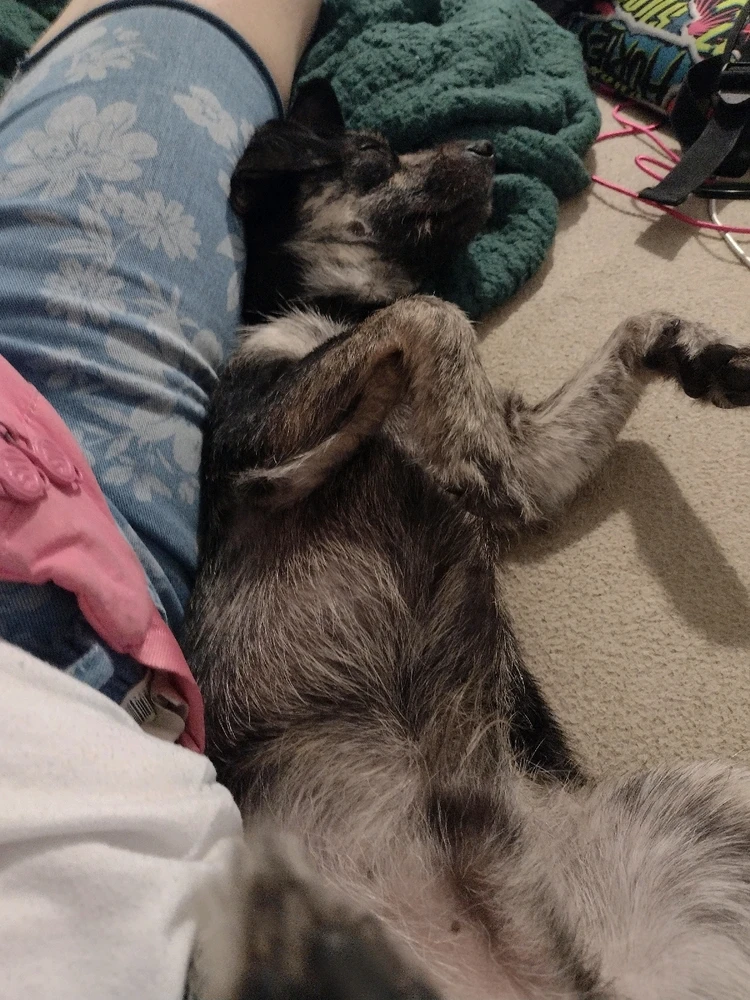 Image uploaded by Heathyr