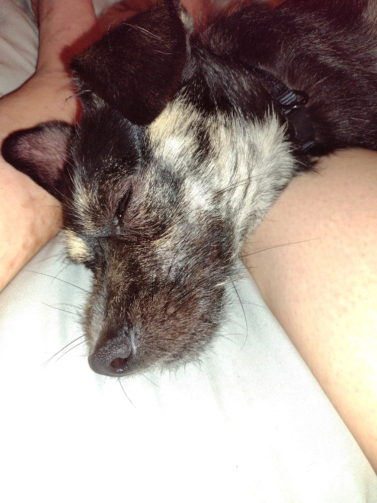 Image uploaded by Heathyr