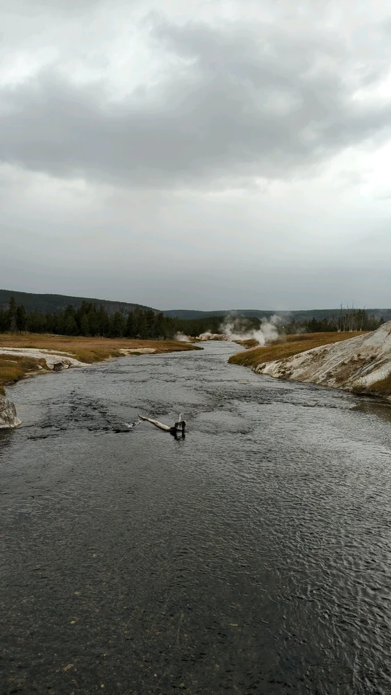 Image uploaded by Bailey