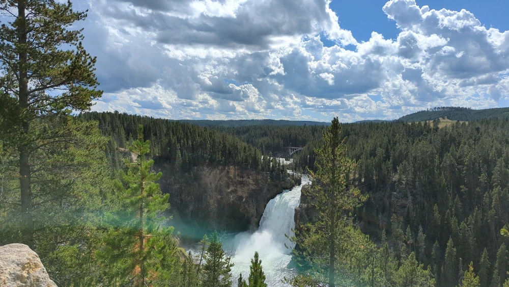 Image uploaded by Bailey
