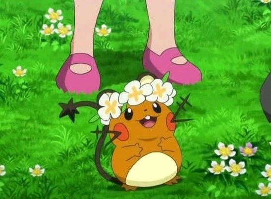 Erin上传的GIF