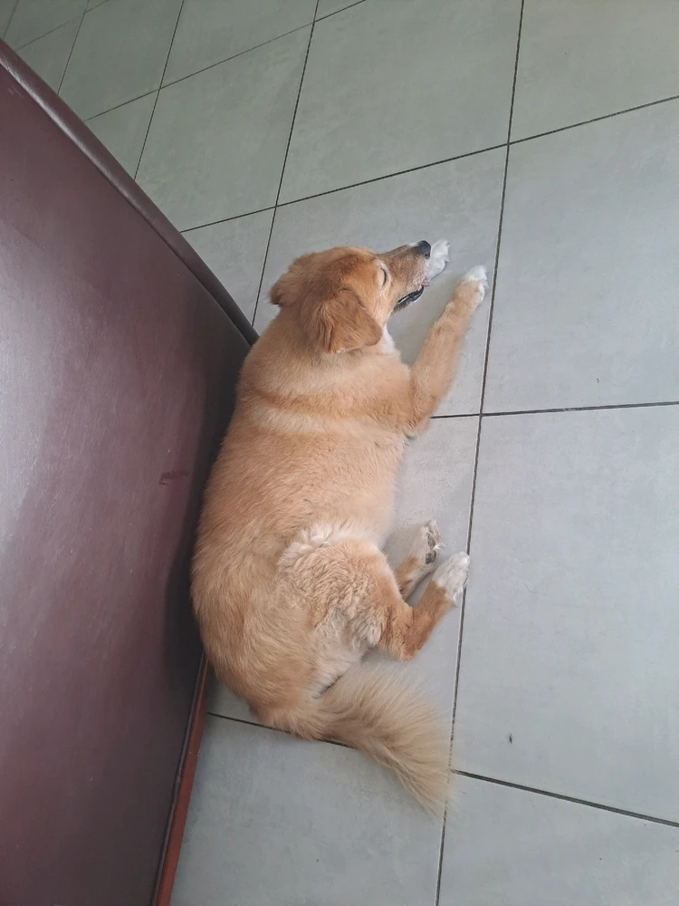 GIF uploaded by Sandz