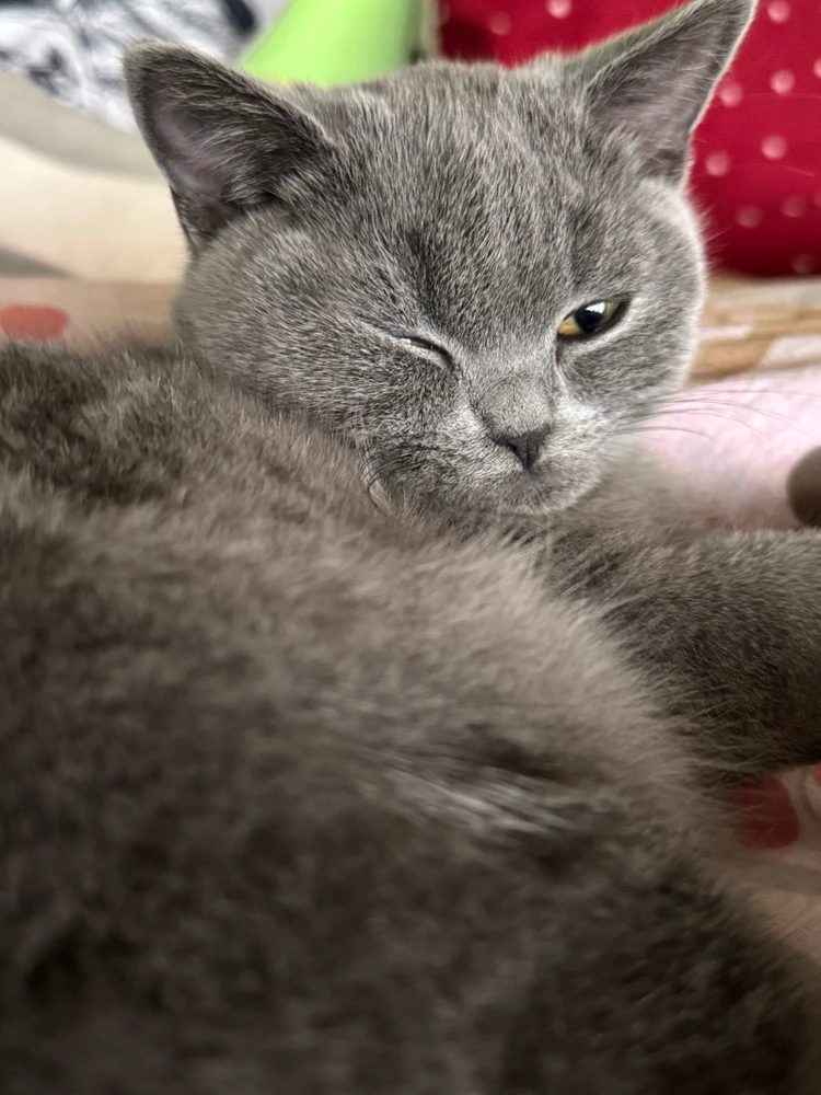GIF dodany przez Kinga