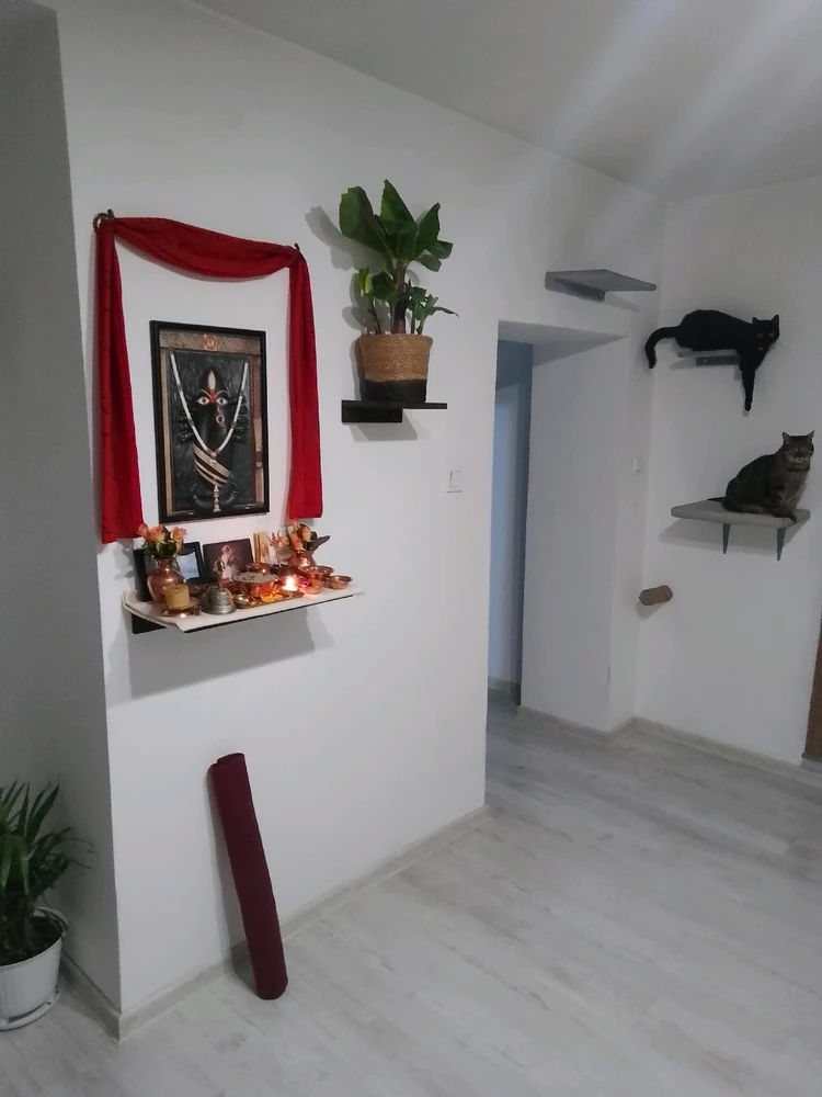 Yoga space 🧘🏻‍♂️