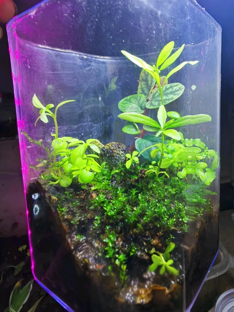 GIF uploaded by Khaled Amr