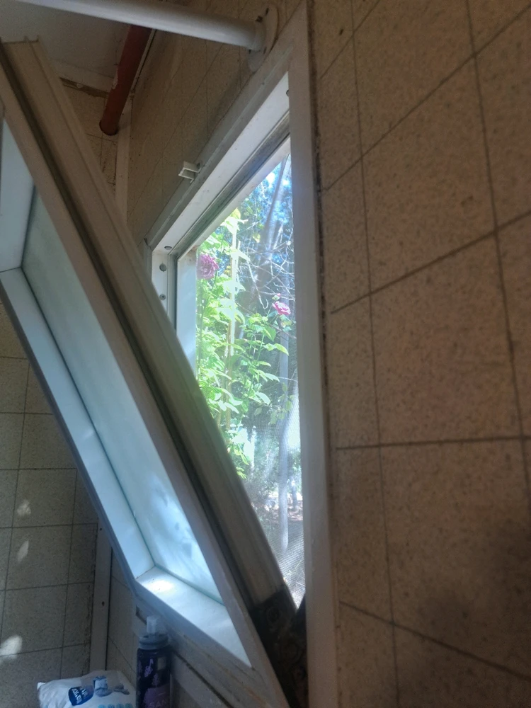 Image uploaded by Dar