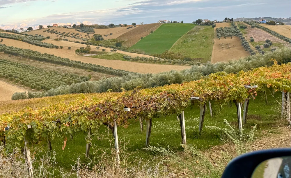 GIF caricata da Aleeeeee