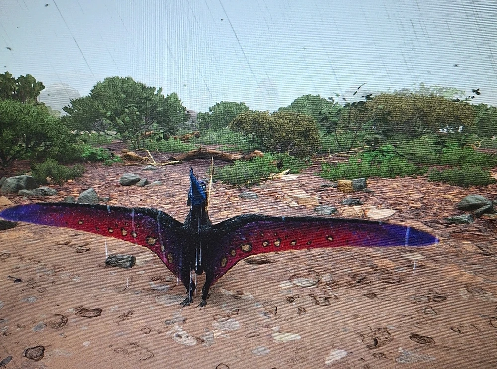 GIF uploaded by Becca