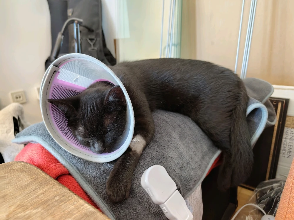 J'ai une drôle d'antenne chez moi