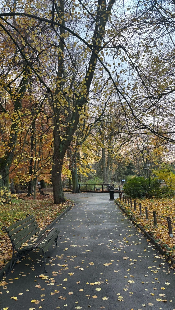 Фото загрузил Tatiana