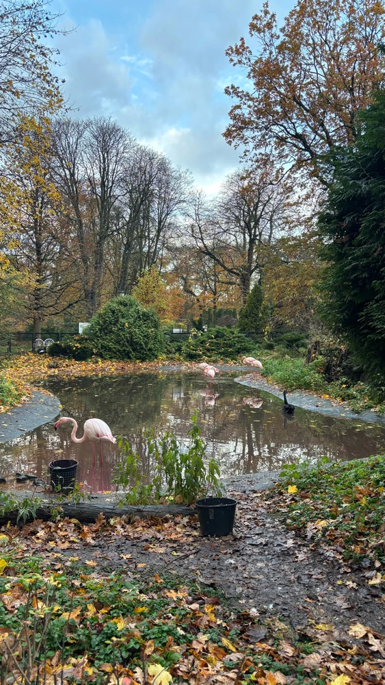 Фото загрузил Tatiana