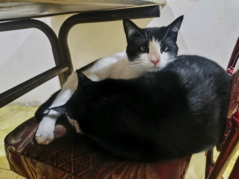 GIF subido por Alberto gonzalez