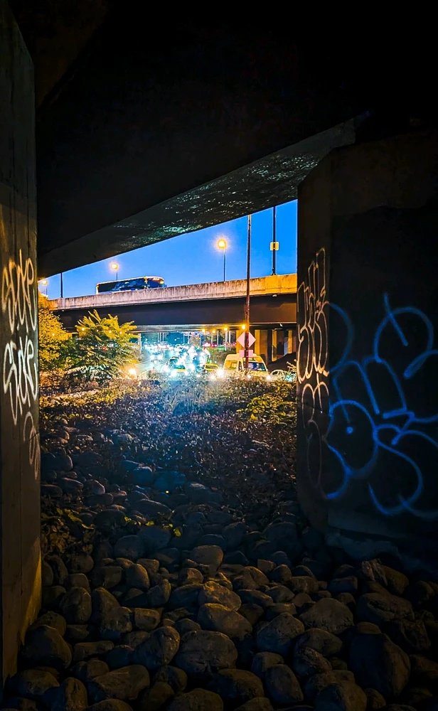 Image uploaded by Dana