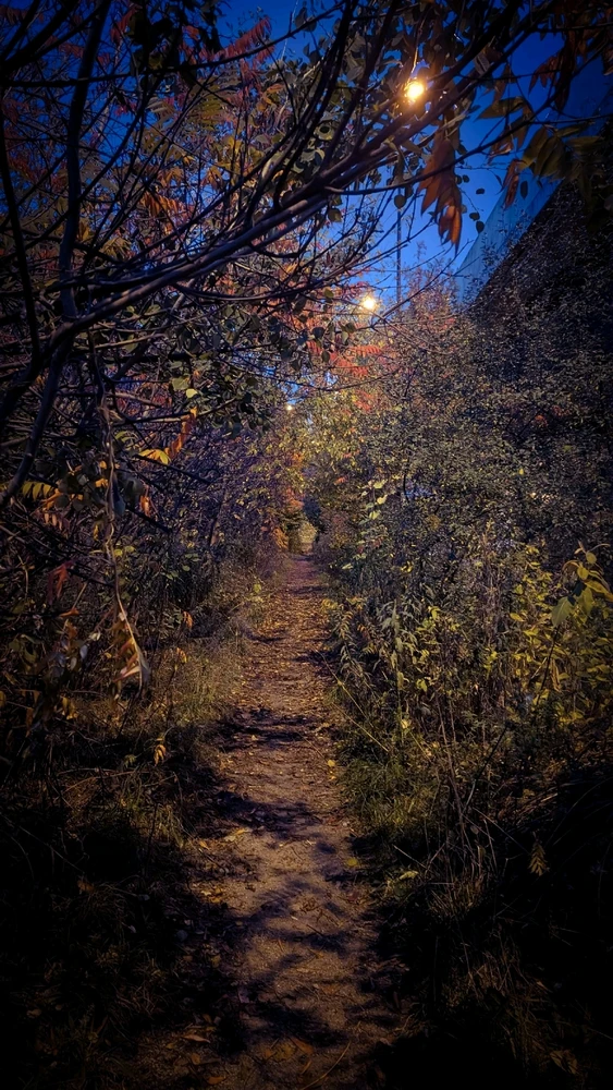 Image uploaded by Dana