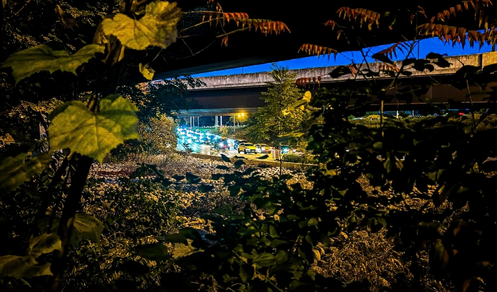 Image uploaded by Dana