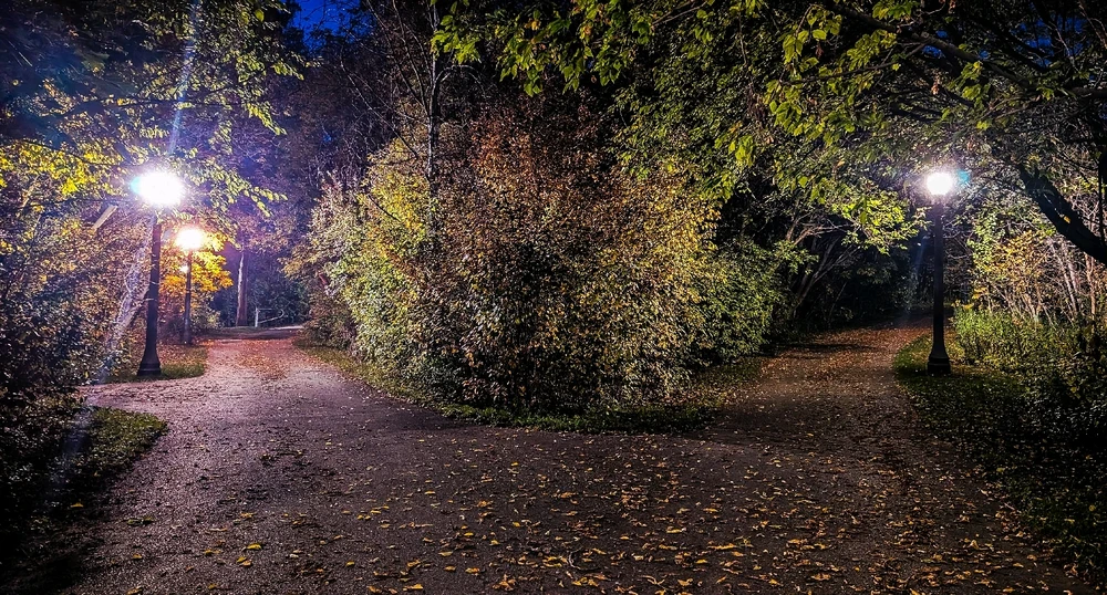 Image uploaded by Dana