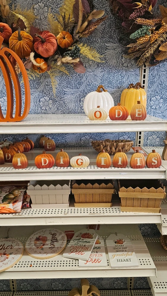 The plot of Chainsaw Man