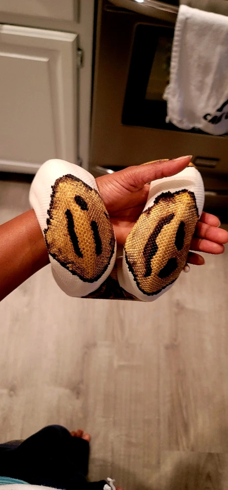 Can I please see pics of everyone's pets? Especially any exotic types. Here's my babies.