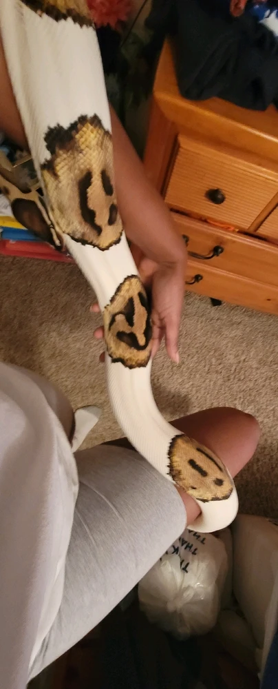 Can I please see pics of everyone's pets? Especially any exotic types. Here's my babies.