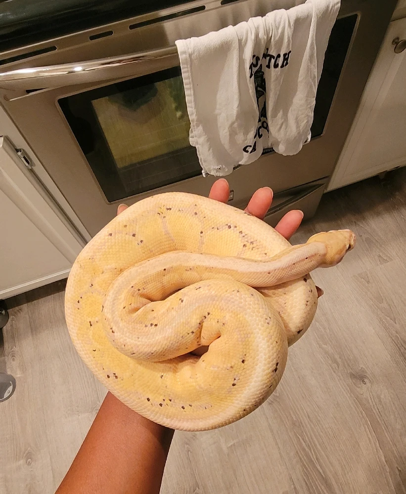 Can I please see pics of everyone's pets? Especially any exotic types. Here's my babies.