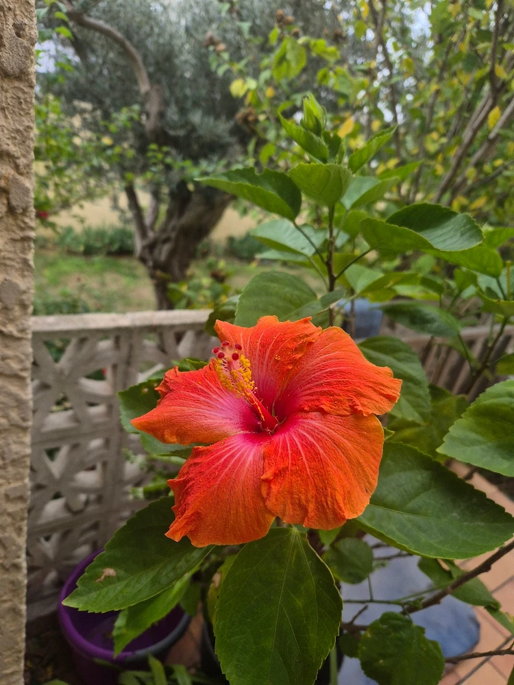 GIF ajouté par Jonathan