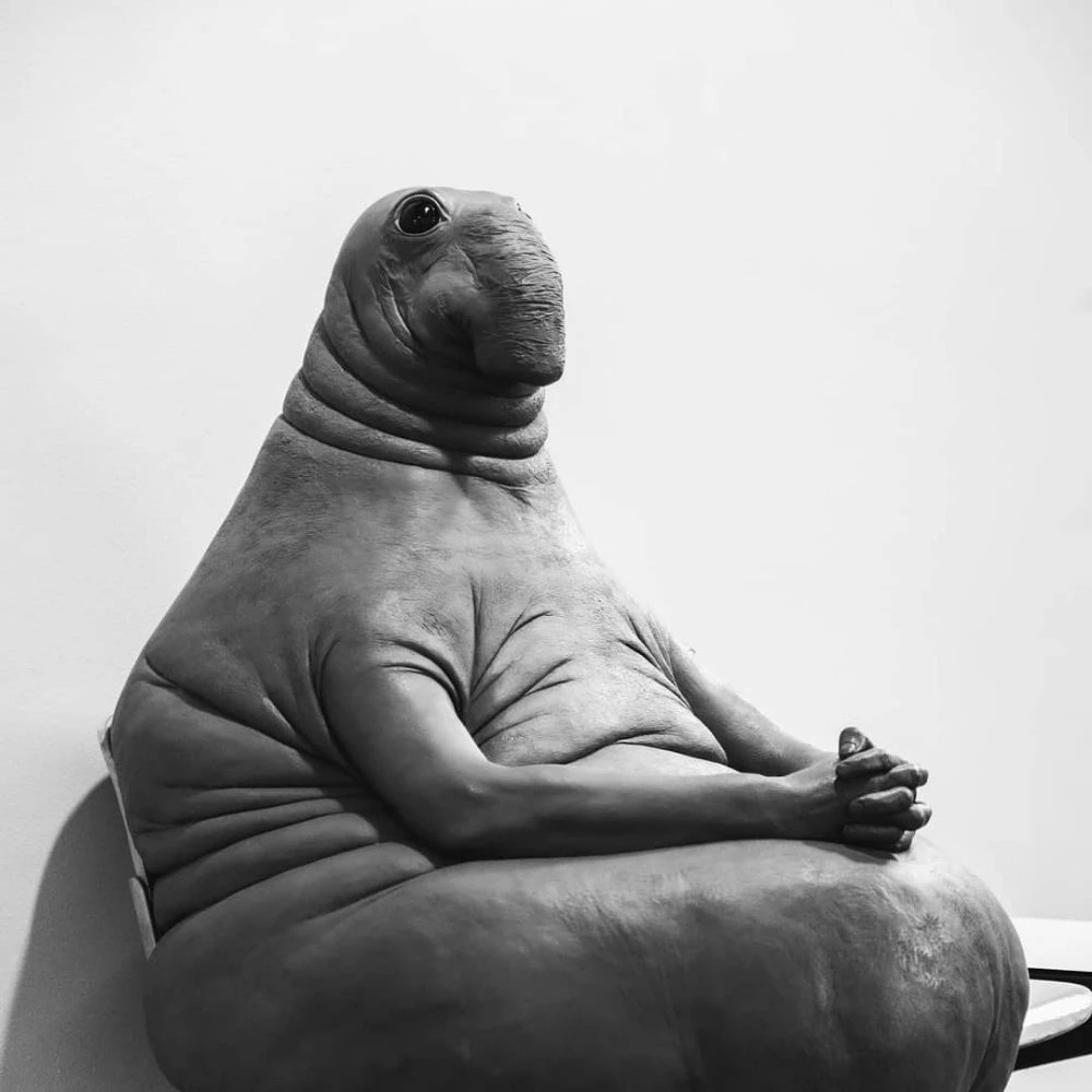 Asel tarafından yüklenen GIF